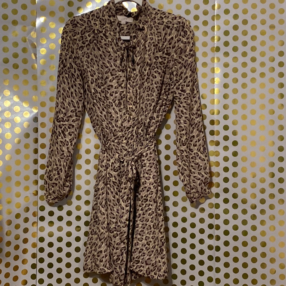 Anne Taylor Leopard Print Dress